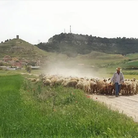 Σπίτι διακοπών Mirador De Cerrato Παλένθια