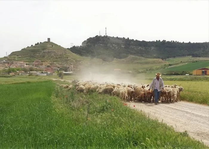 펜션 Mirador De Cerrato 팔렌시아